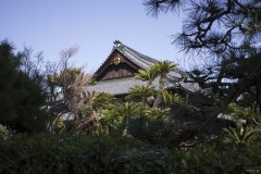 披雲閣