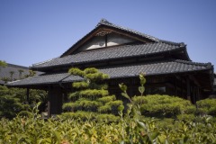 披雲閣