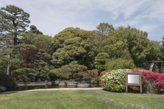 製粉ミュージアム 日本庭園