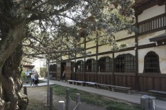 茂林寺 本堂
