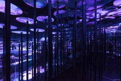 DSCF4223_cr