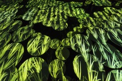 DSCF4227_cr
