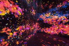 Borderless World