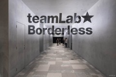 teamLab★Borderless