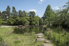 庭園 池と石橋