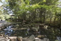庭園 岩の並ぶ池