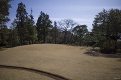 書院造庭園