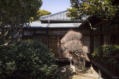 戸定邸 中庭ごしの外観