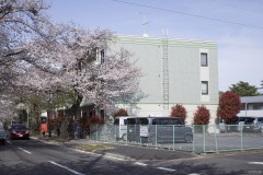桜と街並み
