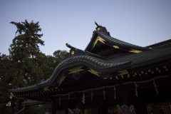 大國魂神社