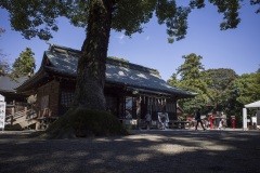 鷲宮神社