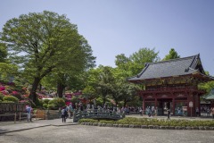 根津神社 つつじ苑と楼門