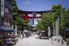 富岡八幡宮 参道と社号標