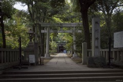 赤坂氷川神社 鳥居と社号標