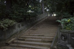 赤坂氷川神社 石段
