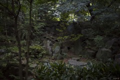 赤坂氷川神社 境内の木立と岩