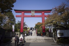 亀戸天神社 鳥居