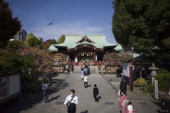 亀戸天神社 参道から見た社殿