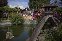 亀戸天神社 池と灯籠