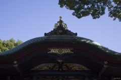 王子神社 社殿の屋根
