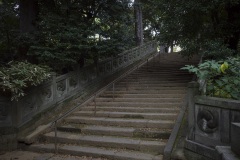 赤坂氷川神社