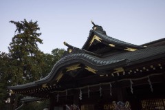 大國魂神社 社殿の屋根