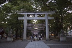 大國魂神社 鳥居と提灯