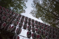 大國魂神社 見上げた提灯