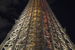 ライトアップされた東京スカイツリー