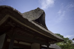 旧取手宿本陣染野家住宅 見上げた茅葺屋根