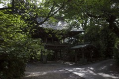 長禅寺 木立に囲まれた境内