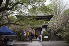 御開帳の日の三世堂