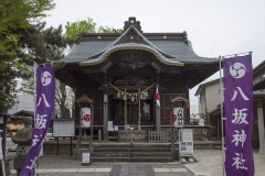 八坂神社 社殿と幟