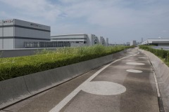 水産卸売場棟（中央）と水産仲卸売場棟（右）