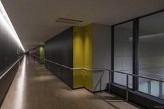 見学者コース