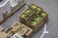 青果卸売場