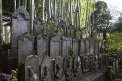 並んだ石仏