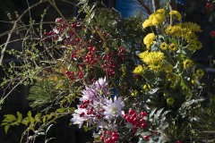 赤い実と菊の生け花