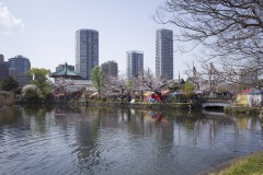 不忍池と弁天堂