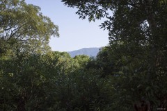 御許山