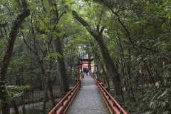 高倉
