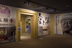 胎内の展示