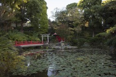 須藤公園