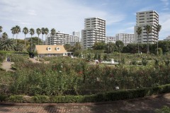 谷津バラ園 園全体とマンション