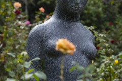 彫刻とバラ