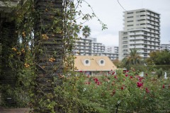 谷津バラ園