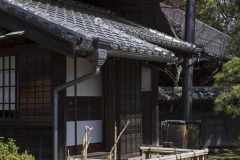 軒下の白い花