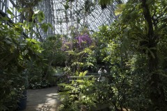 夢の島熱帯植物館 大温室