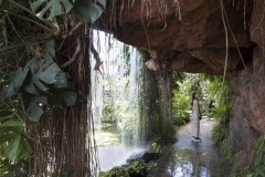 夢の島熱帯植物館