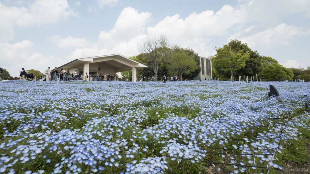 舎人公園